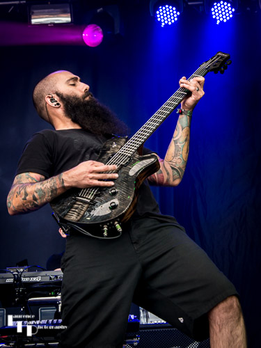 The Devin Townsend Project: Dave Young on guitar