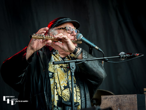 Focus: Thijs van Leer on vocals & flute