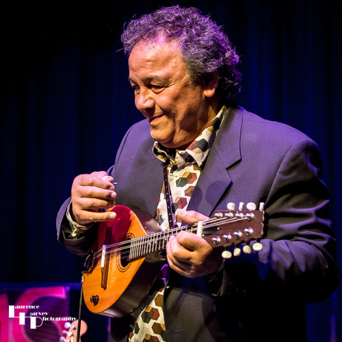 Steve Simpson on  mandolin