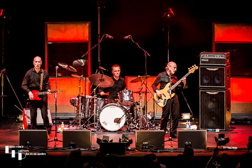 The Wilko Johnson Band on stage at The Royal Albert Hall