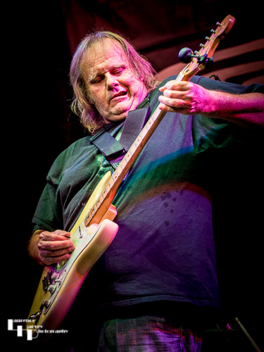 Walter Trout on vocals & guitar
