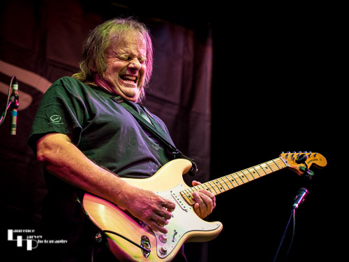 Walter Trout on vocals & guitar