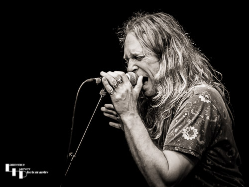 Guest, Andrew Elt on vocals
