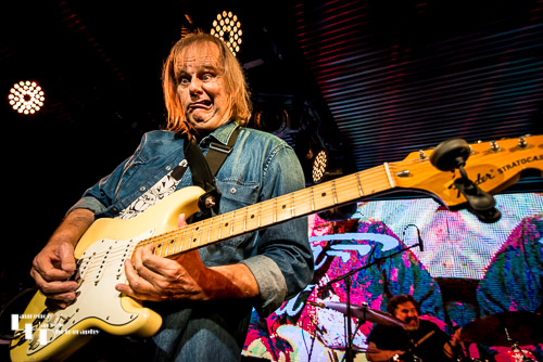 Walter Trout on vocals & guitar