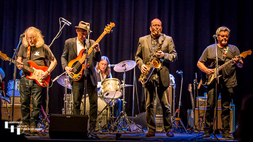 The Dave Thomas Blues Band on stage at The Corn Hall