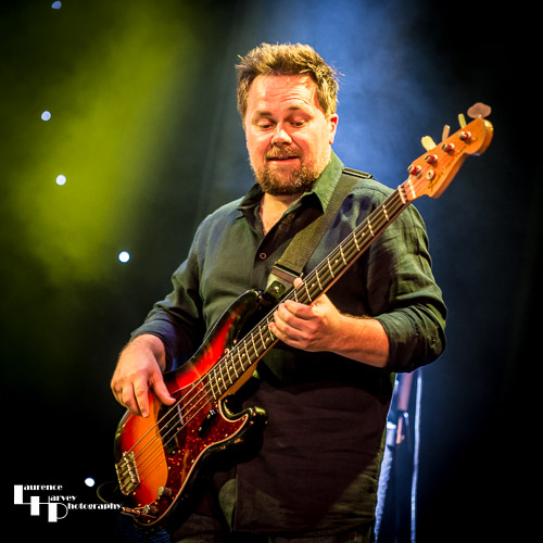 Steve Amadeo on bass