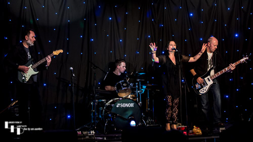 Mojo Preachers on stage at The Harbour Room