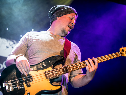 Peter Adams on bass