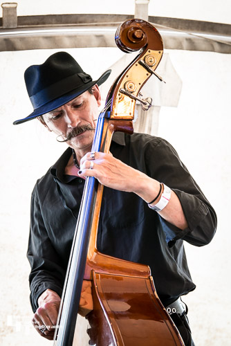 Dodobones: Ian Newman on double bass