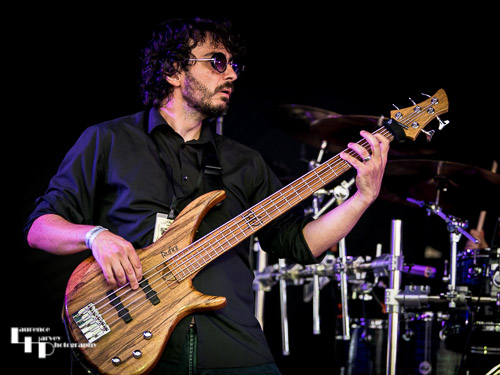 Hayley Griffiths Band: Bass