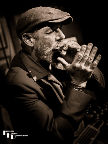 Giles King on harmonica