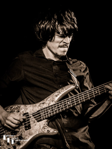 Adam Pyke on bass