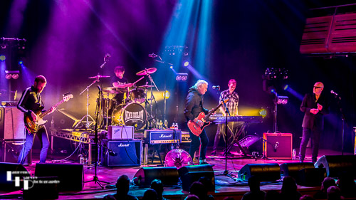 Nine Below Zero on stage at the Apex