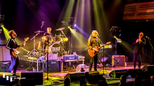 Nine Below Zero on stage at the Apex