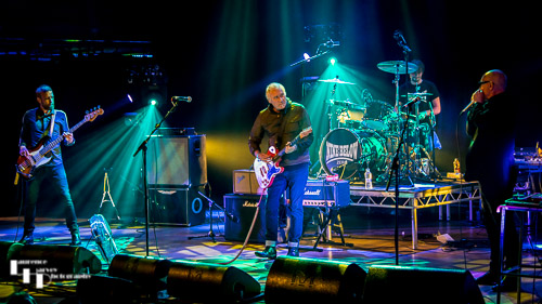 Nine Below Zero on stage at the Apex
