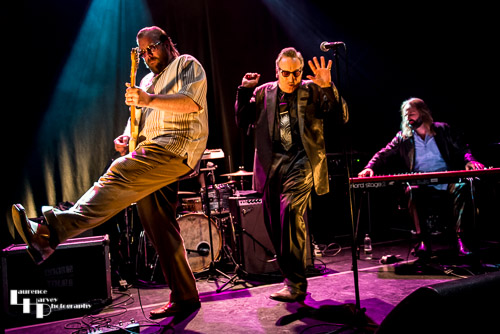 Rick Estrin on vocals & harmonica, Kid Andersen on guitar