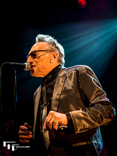 Rick Estrin on vocals & harmonica