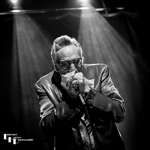 Rick Estrin on vocals & harmonica