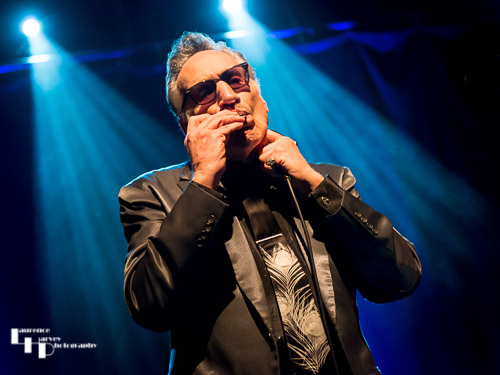 Rick Estrin on vocals & harmonica