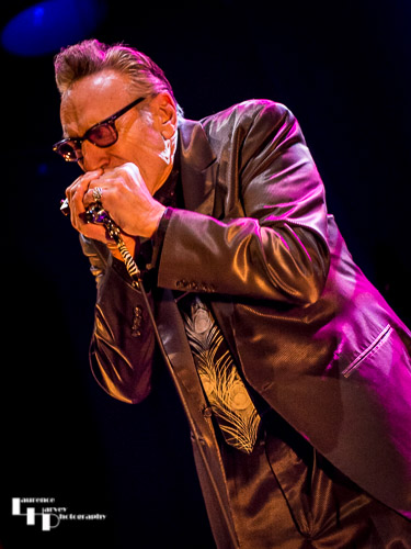 Rick Estrin on vocals & harmonica