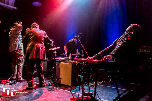Rick Estrin And The Nightcats on stage, playing backwards