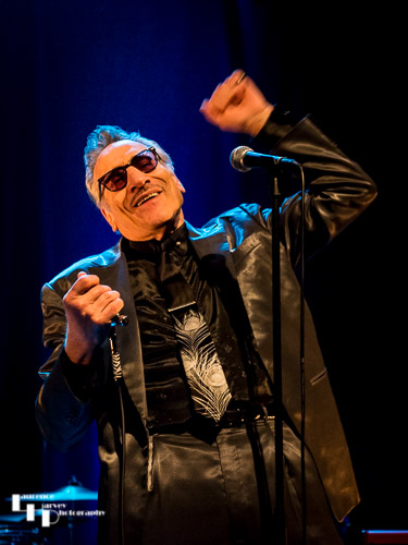 Rick Estrin on vocals & harmonica