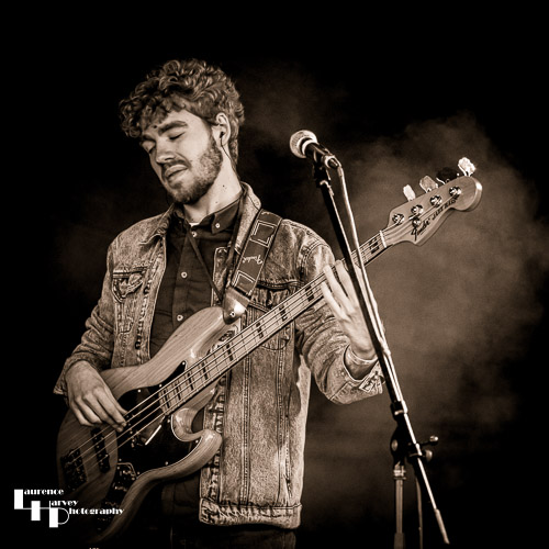 Dan Collins on bass