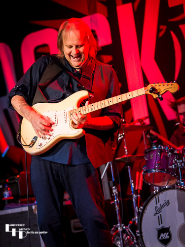 Walter Trout on vocals & guitar