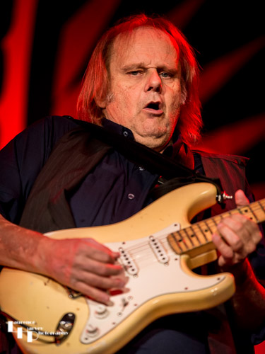 Walter Trout on vocals & guitar