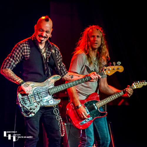 Johnny Griparic on bass & Andrew Elt on guitar