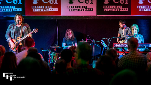 Catfish on stage at The John Peel Centre