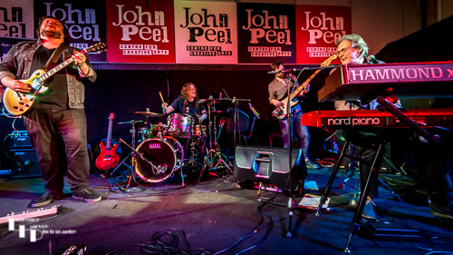 Catfish on stage at The John Peel Centre