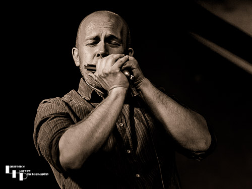 Gareth Tucker on harmonica