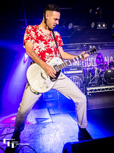 Aaron Buchannan & The Cult Classics: Tom McCarthy on guitar