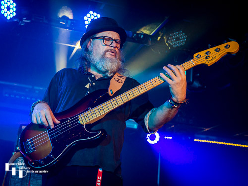 Born Healer: Marek Funkas on bass
