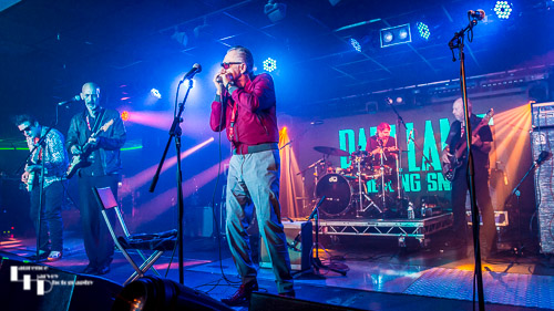 Paul Lamb & The King Snakes on stage at HRH A.B.C.