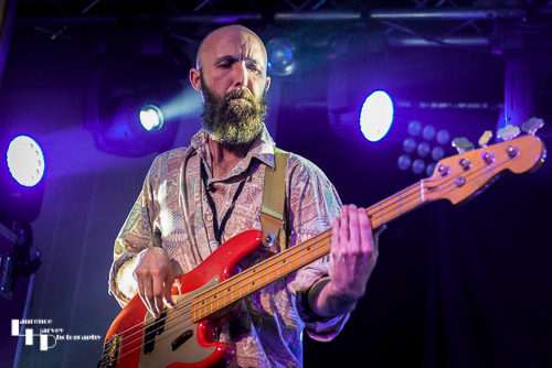Wille & The Bandits: bassist