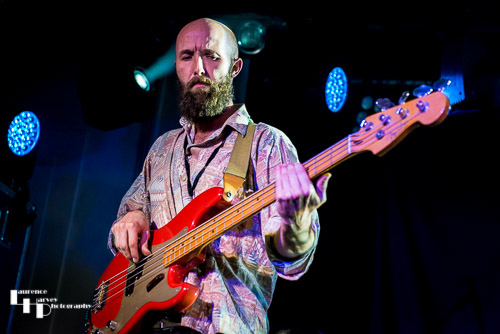 Wille & The Bandits: bassist