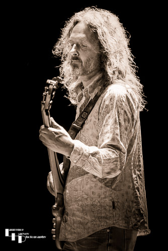 Iain Petrie on bass