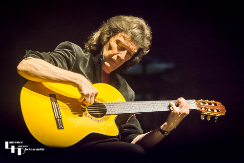 Steve Hackett on guitar