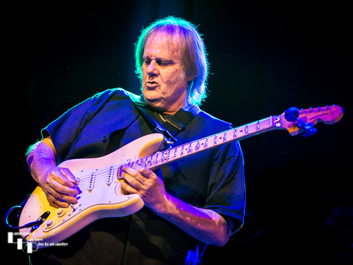 Walter Trout on vocals & guitar