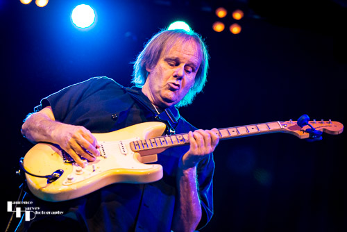 Walter Trout on vocals & guitar
