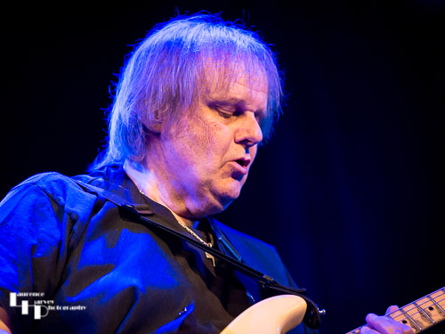 Walter Trout on vocals & guitar