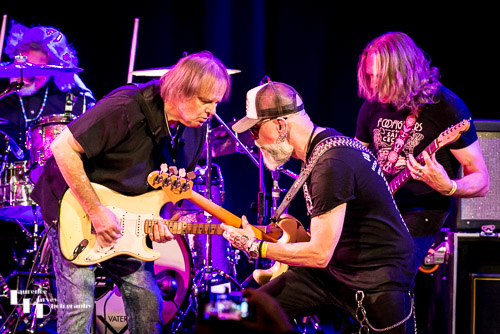 The Walter Trout Band on stage at The Apex