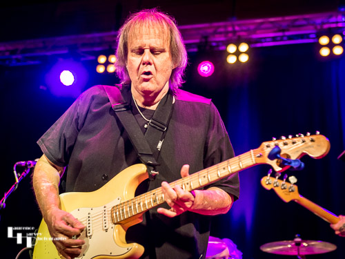 Walter Trout on vocals & guitar