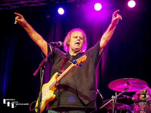 Walter Trout on vocals & guitar