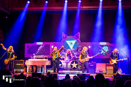 Cats In Space on stage at The Apex