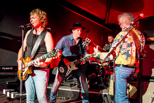 Free & Co on stage at The Banham Barrel