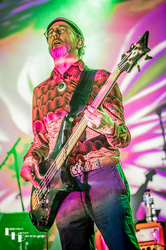 Dave Sturt on bass