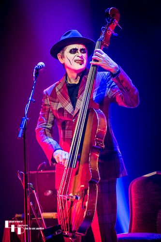 Adrian Stout on double bass & vocals